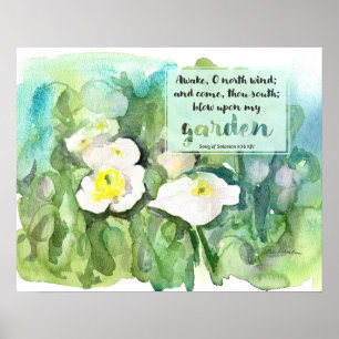 Schrift Song of Solomon Weiße Mohnblumen Poster