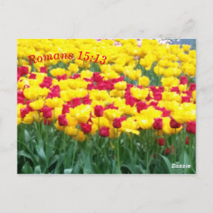 Schriftmeditationskarte Römer 15:13 Postkarte
