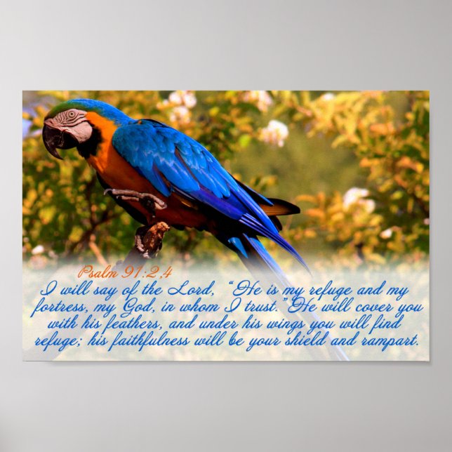 Schriftzeichen: Psalm 91:2,4 mit Blue Macaw Poster (Vorne)
