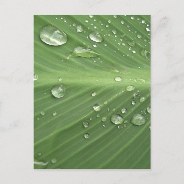 Schritt für Schritt Postkarte (Vorderseite)