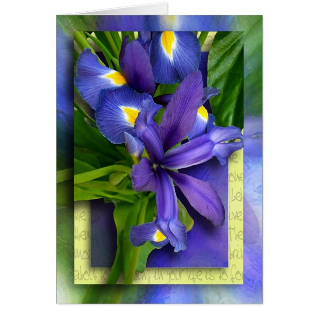 Schritte zum Verzeihen (Vorne)