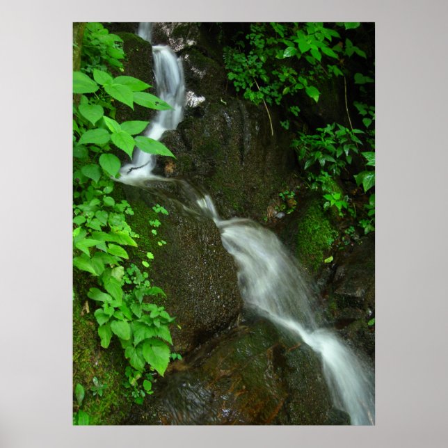 schrittweises Wachstum Poster (Vorne)