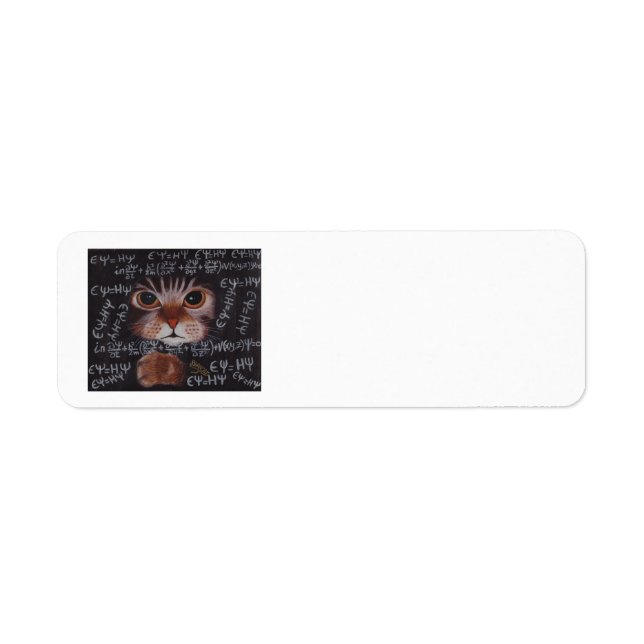 SCHRÖDINGER CAT (Vorne)