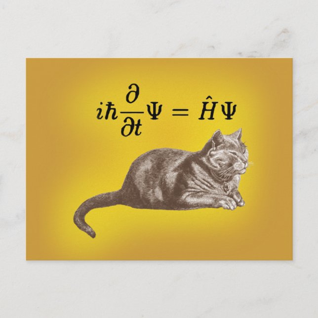 Schrodinger Cat Postkarte (Vorderseite)