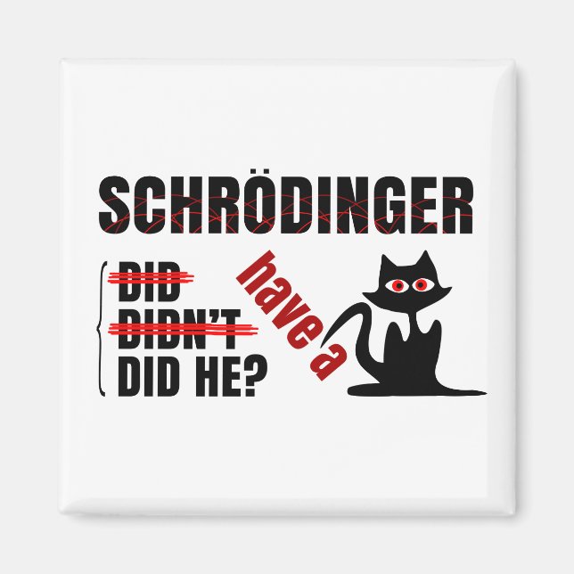 Schrodinger-Dillema Magnet (Vorne)