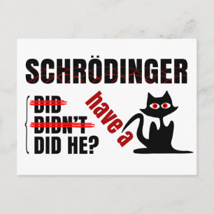 Schrodinger-Dillema Postkarte