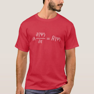 Schrodinger Gleichung Quantenmechanik und Wissensc T-Shirt