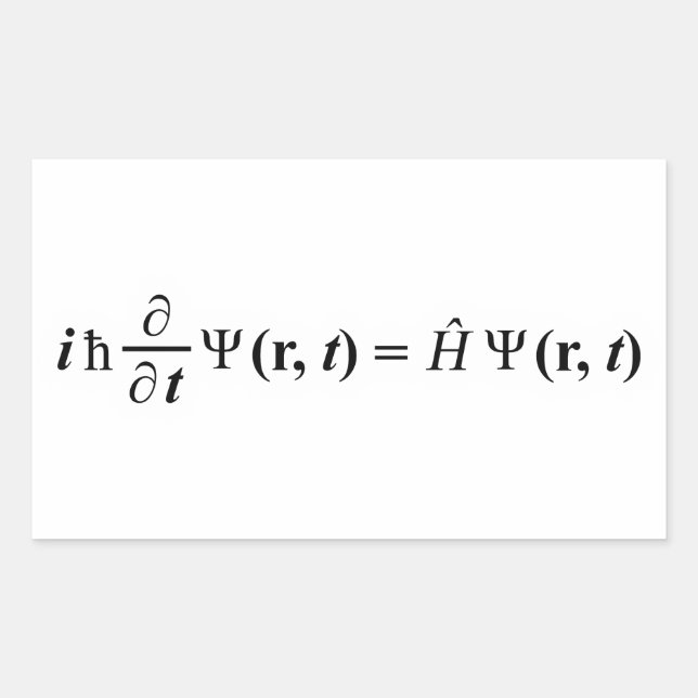 Schrödinger Gleichung Schrodingers Gleichung Rechteckiger Aufkleber (Vorderseite)
