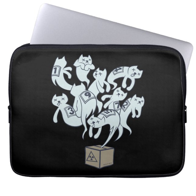 Schrödinger Katze 9 Leben Laptopschutzhülle (Vorderseite)