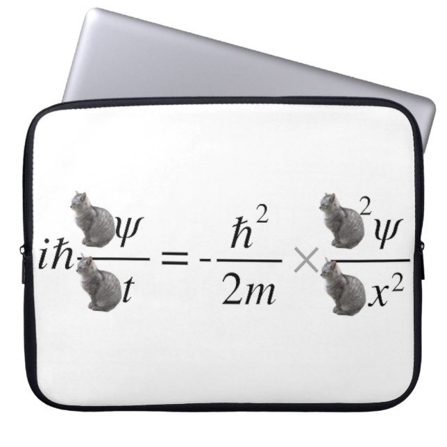 Schrodinger-Katze Laptopschutzhülle (Vorderseite)