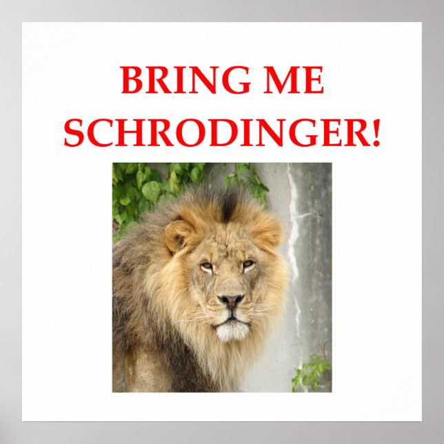 Schrodinger-Katze Poster (Vorne)