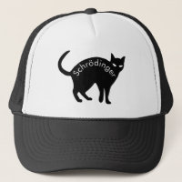 Schrödinger-Katze