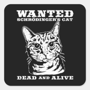Schrodinger-Katze wollte tot oder lebendig Quadratischer Aufkleber