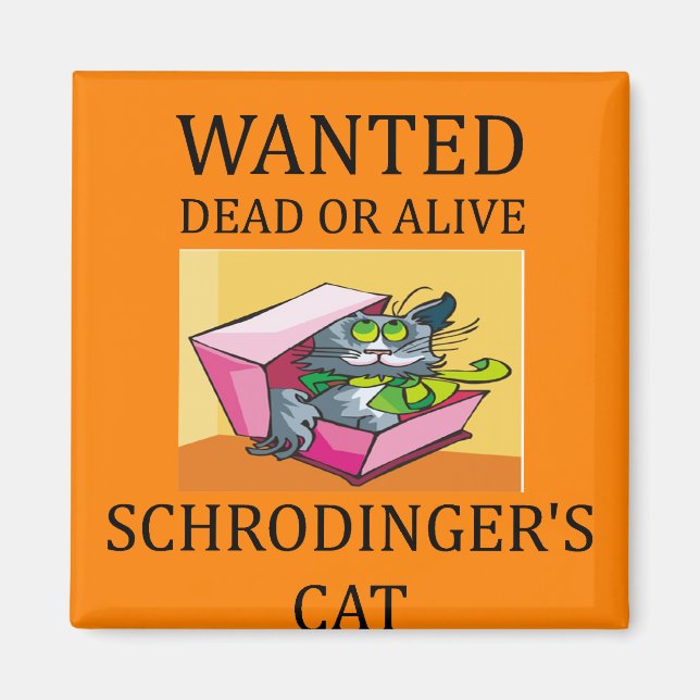 Schrodinger-Katzenwitz Magnet (Vorne)
