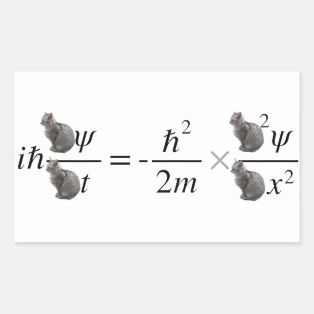 Schrodinger's cat rechteckiger aufkleber (Vorderseite)