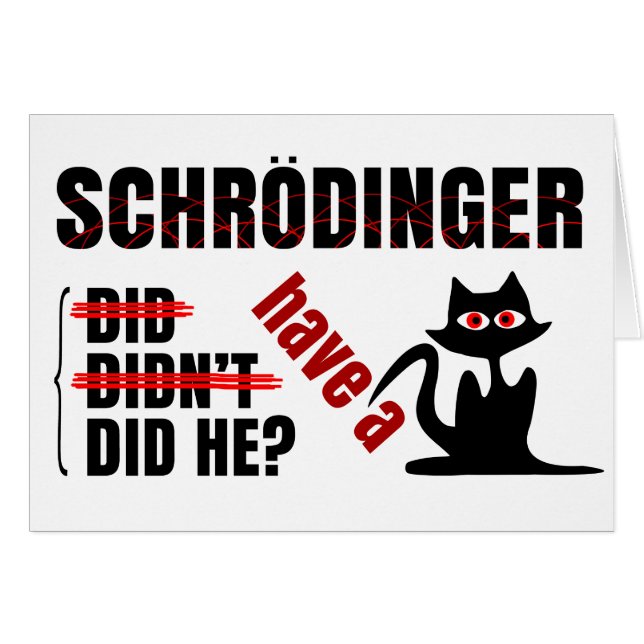Schrodingers Dillema (Vorderseite (Horizontal))