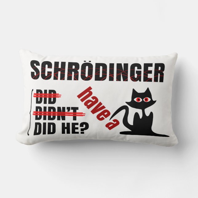 Schrodingers Dillema Lendenkissen (Vorderseite)