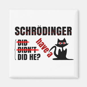 Schrodingers Dillema Magnet