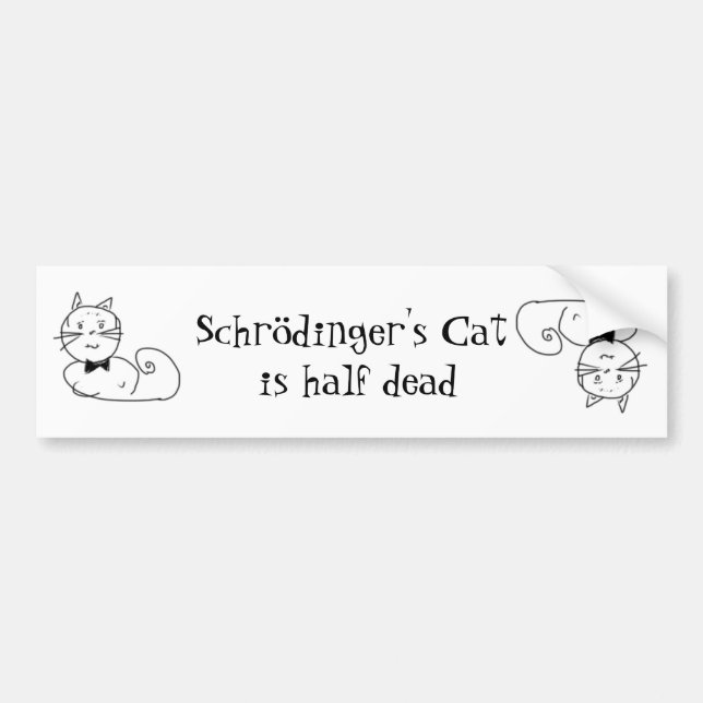 Schrödingers Katze Autoaufkleber (Vorne)