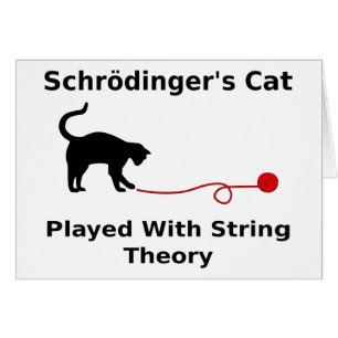 Schrödingers Katze gespielt mit Schnur-Theorie