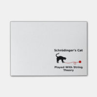 Schrödingers Katze gespielt mit Schnur-Theorie