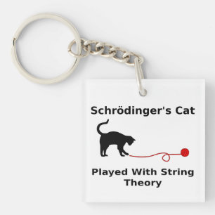Schrödingers Katze gespielt mit Schnur-Theorie Schlüsselanhänger
