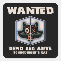 Schrodingers Katze Gewollt