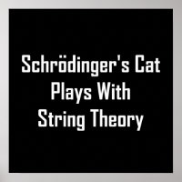 Schrodingers Katze spielt mit String-Theorie