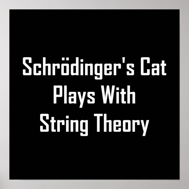 Schrodingers Katze spielt mit String-Theorie Poster (Vorne)