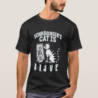Schrödingers Katze tot und lebendig Quantenmechani