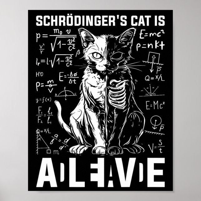 Schrodingers Katzentot und lebendige Physik Poster (Vorne)