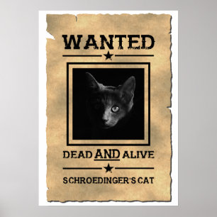 Schroedingers Katze wollte Physik-Witz des Poster