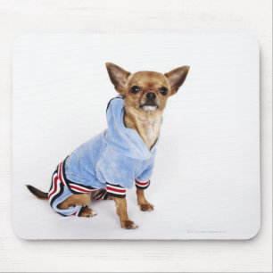 Schrulliges Porträt Teacup-Chihuahua 2 Mousepad
