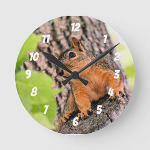 schüchtern runde wanduhr