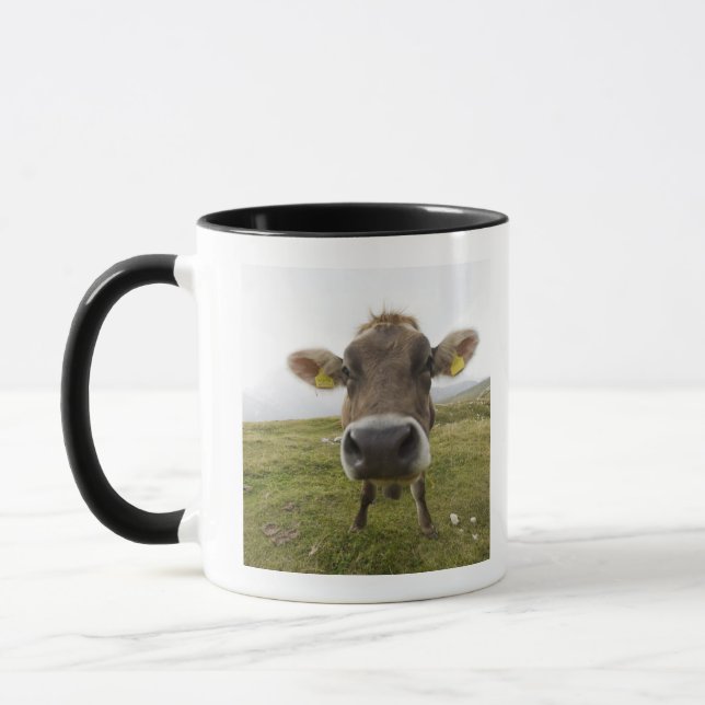 Schüchtern Sie nahe Tre Cime Di Lavaredo in Tasse (Links)