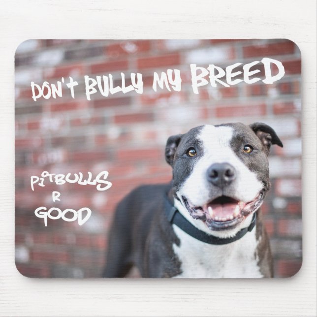 "Schüchtern Sie nicht meine Zucht-" Pitbull Mousepad (Vorne)