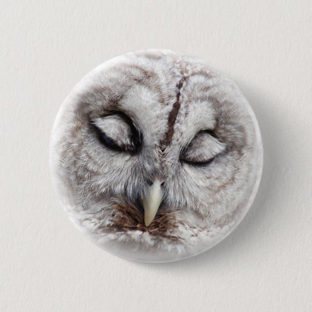 Schüchterne abgehaltene Eule Button (Vorderseite)