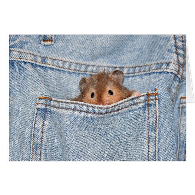 schüchterne Peekaboo (Vorderseite (Horizontal))