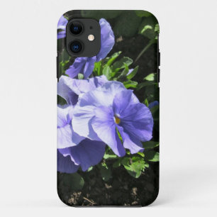 Schüchternes lila Stiefmütterchen iPhone 11 Hülle