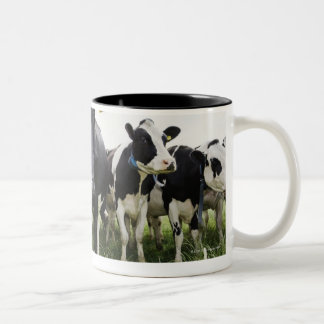 Schüchtert stehendes in einer Reihe ein, die Zweifarbige Tasse