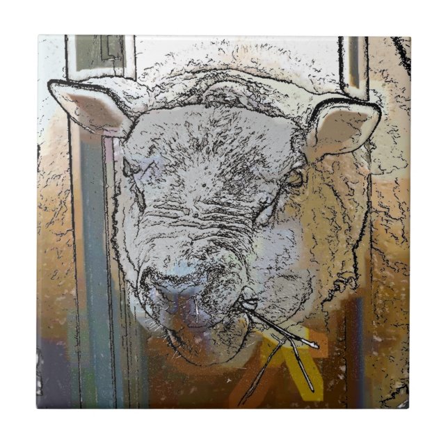 SCHUHE FLIESE (Vorderseite)