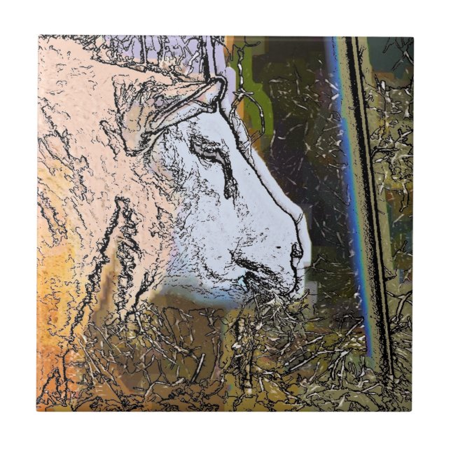 SCHUHE FLIESE (Vorderseite)