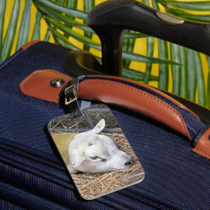 SCHUHE GEPÄCKANHÄNGER