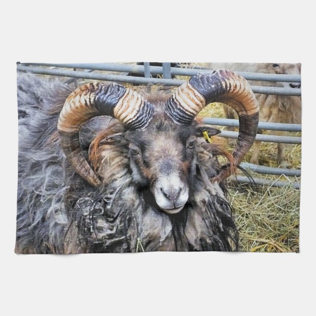 SCHUHE GESCHIRRTUCH (Horizontal)