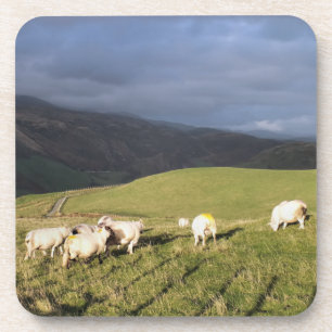 SCHUHE GETRÄNKEUNTERSETZER