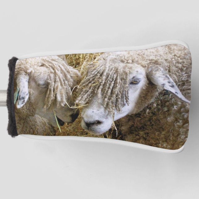 SCHUHE GOLF HEADCOVER (Vorderseite)