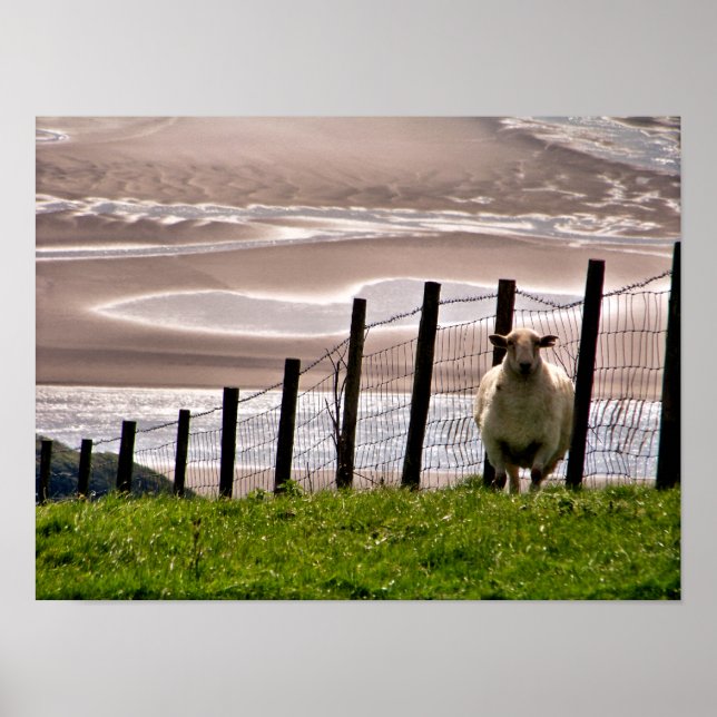 SCHUHE POSTER (Vorne)