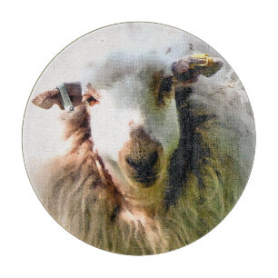 SCHUHE SCHNEIDEBRETT