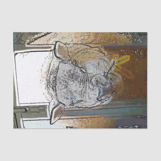 SCHUHE SEIDENPAPIER (Vorderseite)