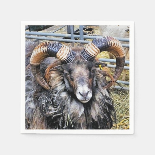 SCHUHE SERVIETTE (Vorderseite)